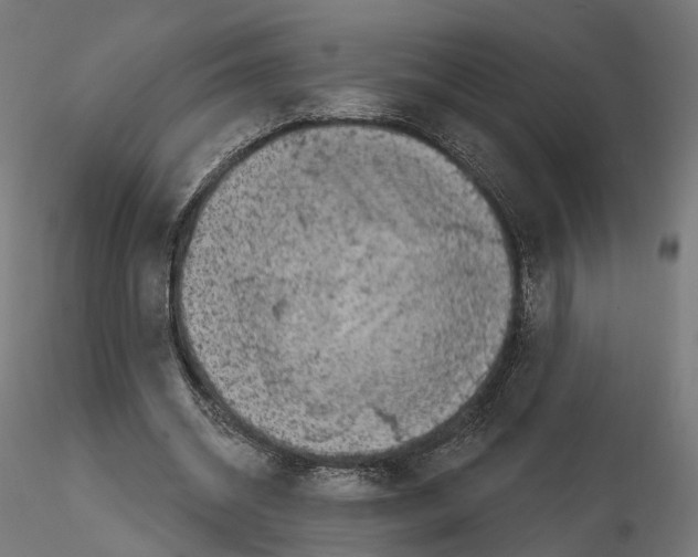 X0000114690534200912021047