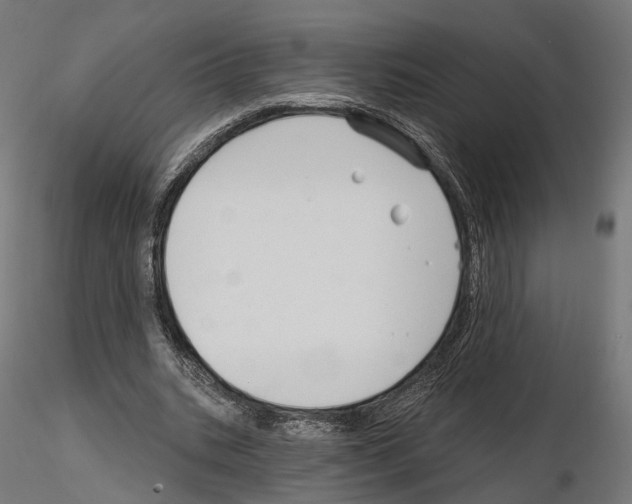 X0000114690535200912021047