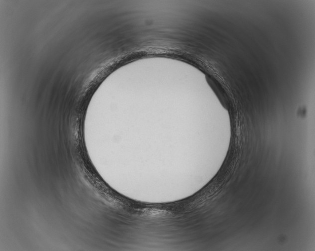 X0000114690539200912021048