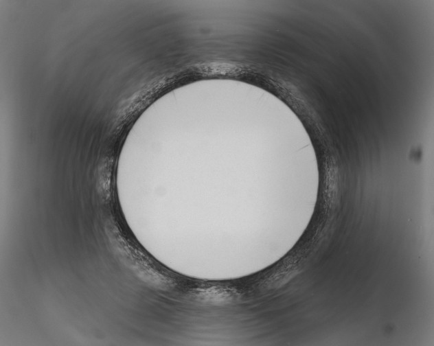 X0000114690545200912021048