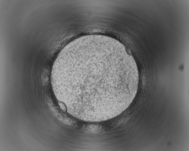 X0000114690546200912021048