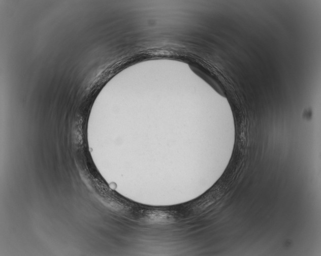 X0000114690547200912021048