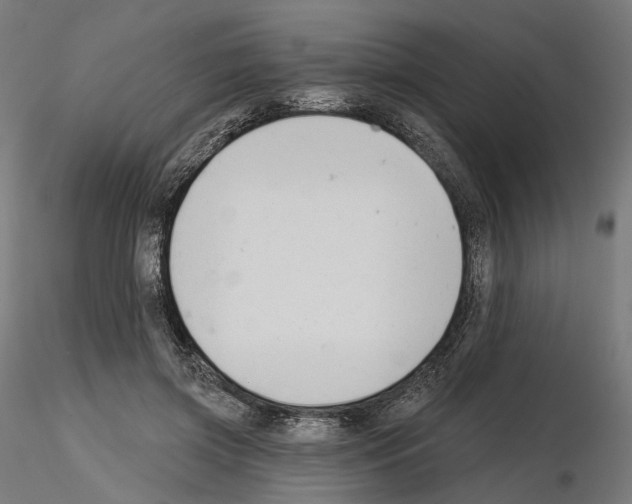 X0000114690549200912021048