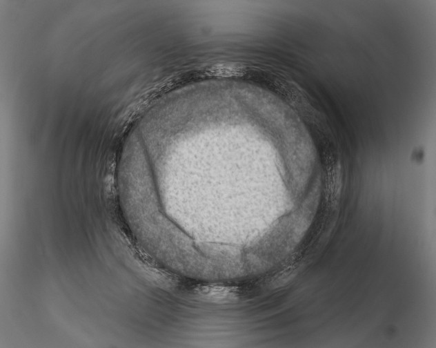 X0000114690553200912021048