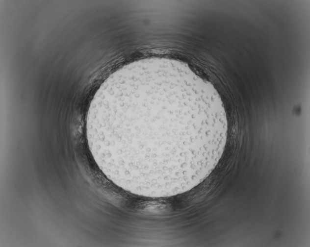 X0000114690555200912021048