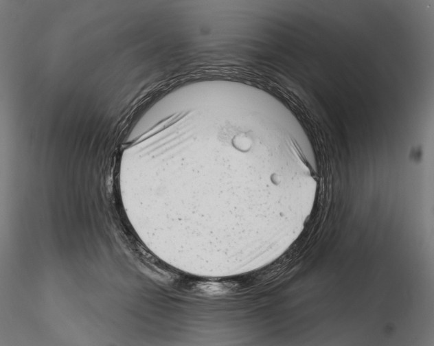 X0000114690558200912021048