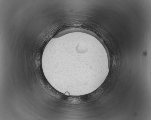 X0000114690559200912021048
