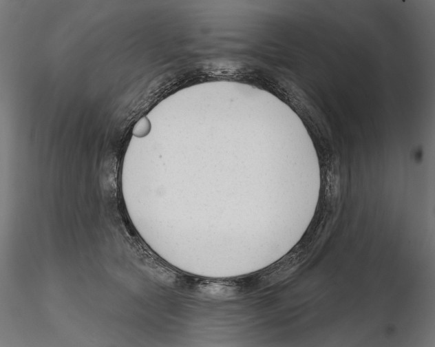X0000114690561200912021048