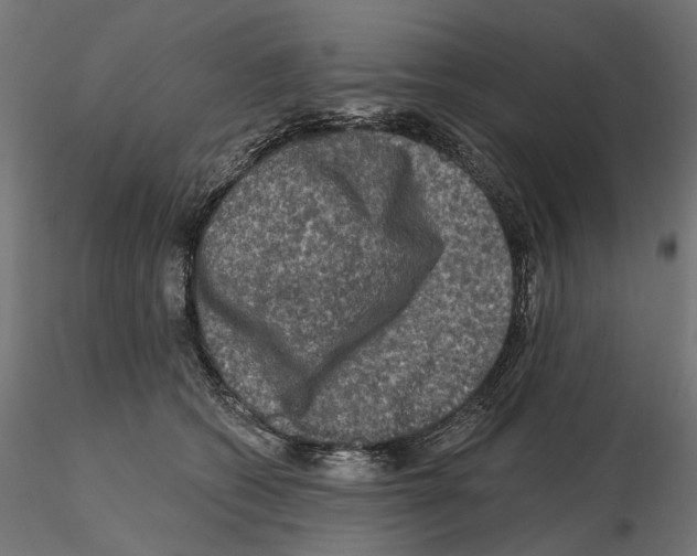 X0000114690562200912021048