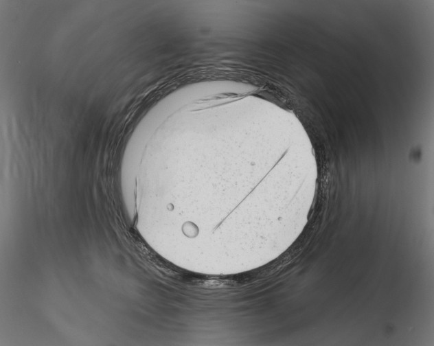 X0000114690566200912021048