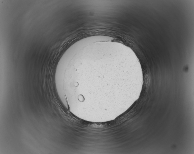 X0000114690570200912021048