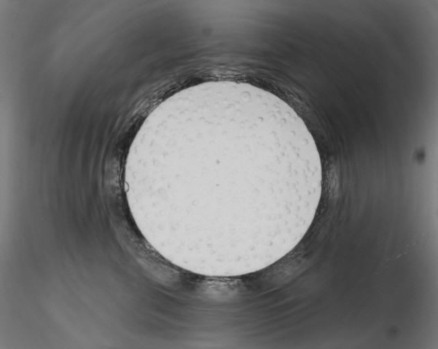 X0000114690571200912021048