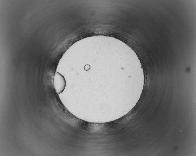 X0000114690575200912021048