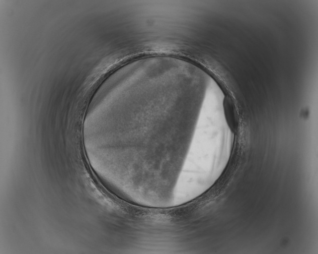 X0000114690577200912021047