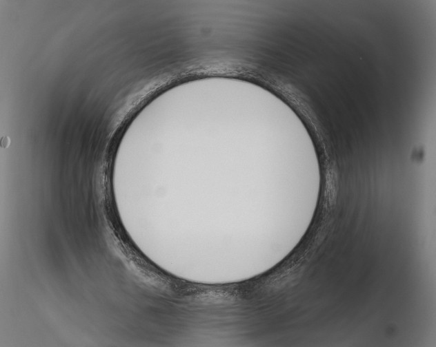 X0000114690578200912021047