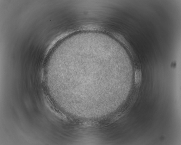 X0000114690579200912021047