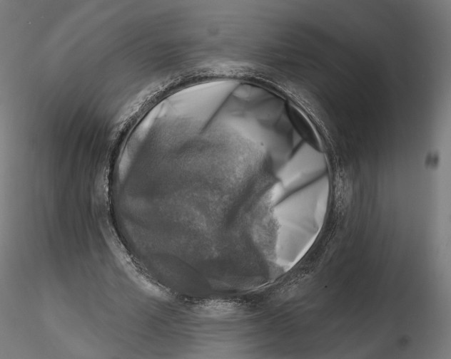 X0000114690581200912021047