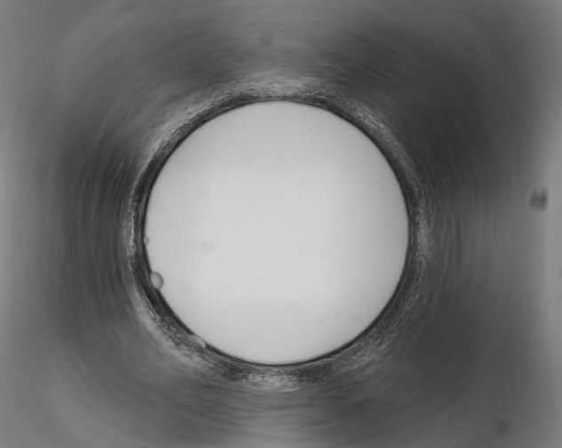 X0000114690582200912021047