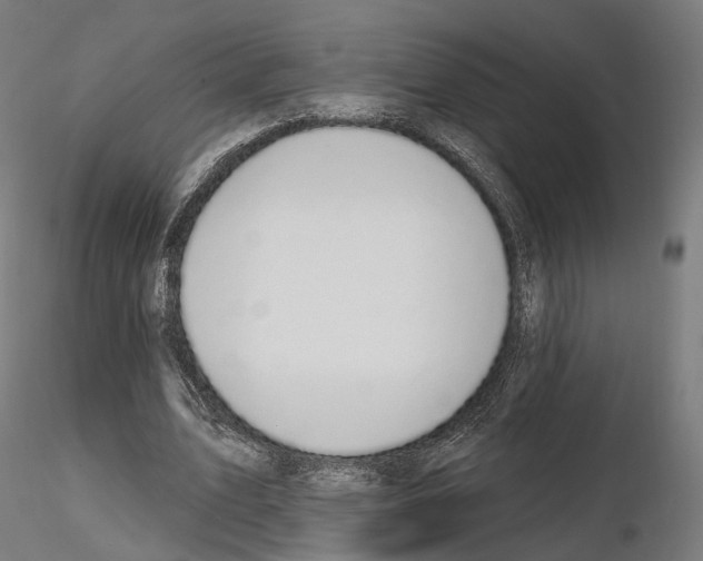 X0000114690583200912021047