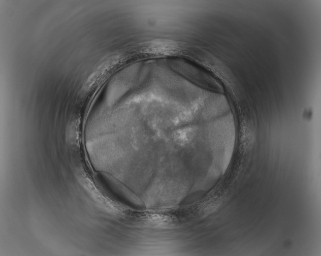 X0000114690585200912021047