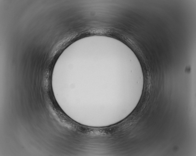 X0000114690586200912021047