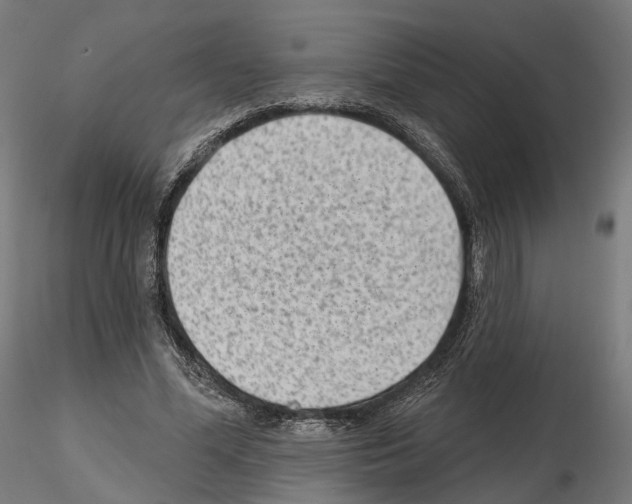 X0000114690588200912021047