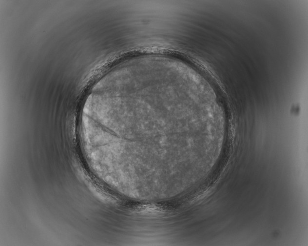 X0000114690589200912021047