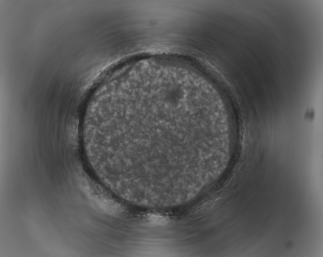 X0000114690592200912021047