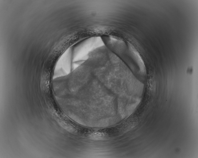 X0000114690593200912021047