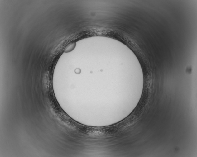 X0000114690594200912021047