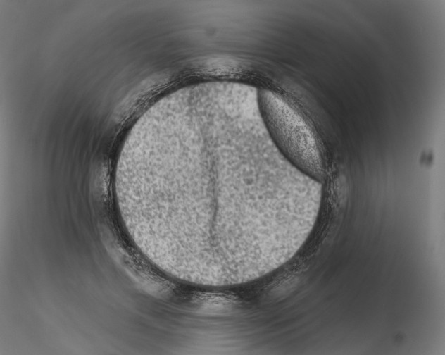 X0000114690597200912021047
