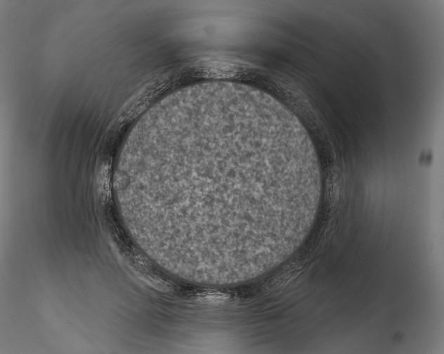 X0000114690598200912021047