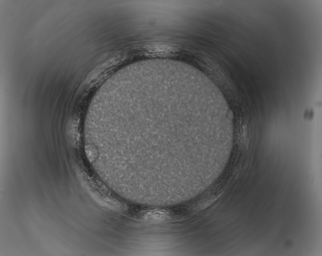 X0000114690599200912021047