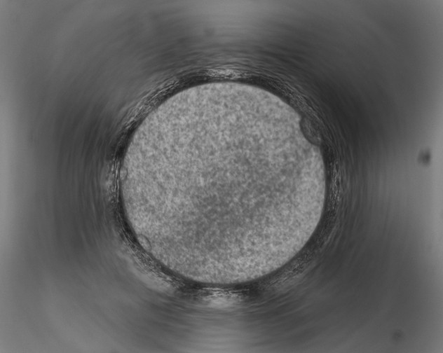 X0000114690601200912021047