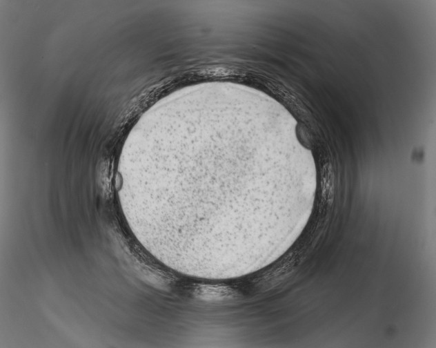 X0000114690605200912021047