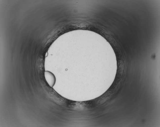 X0000114690612200912021047