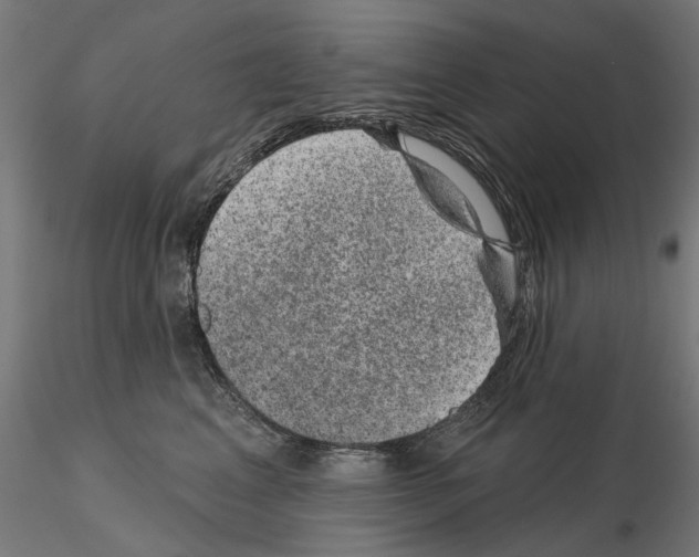 X0000114690617200912021047