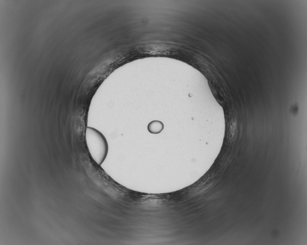 X0000114690620200912021047