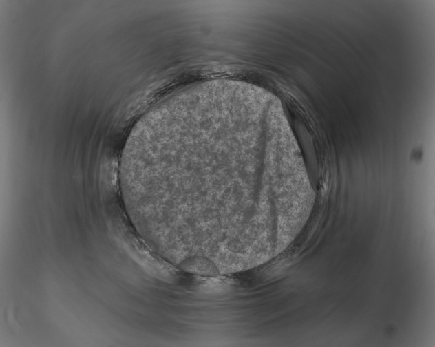 X0000114690621200912021047