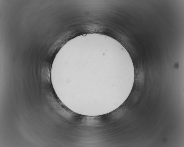 X0000114690622200912021047
