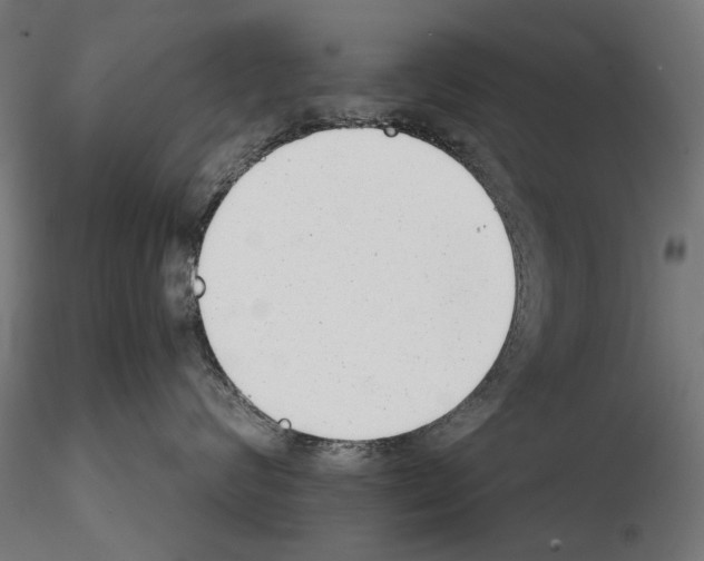 X0000114690624200912021047