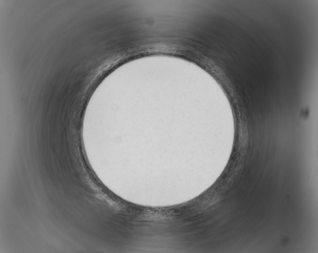 X0000114690625200912021046