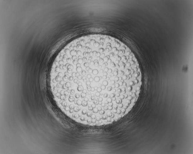 X0000114690626200912021046