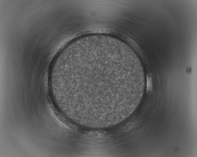 X0000114690627200912021046