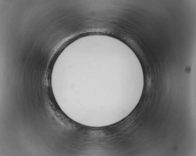 X0000114690628200912021046