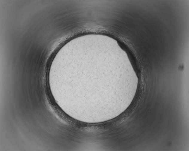 X0000114690630200912021046