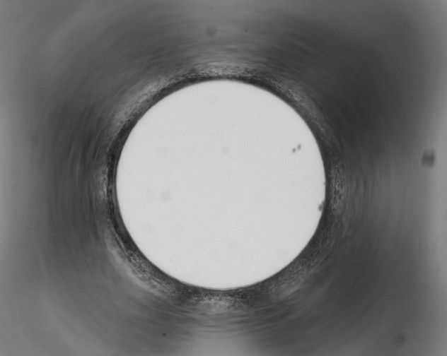 X0000114690631200912021046