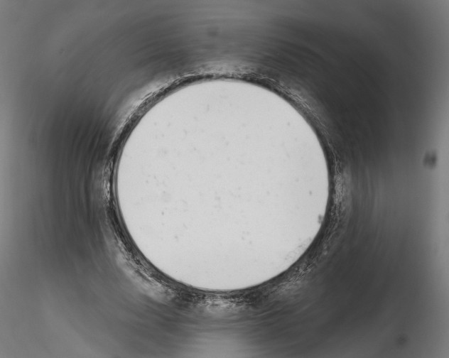 X0000114690632200912021046