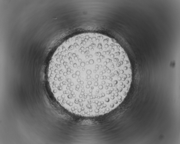 X0000114690635200912021046
