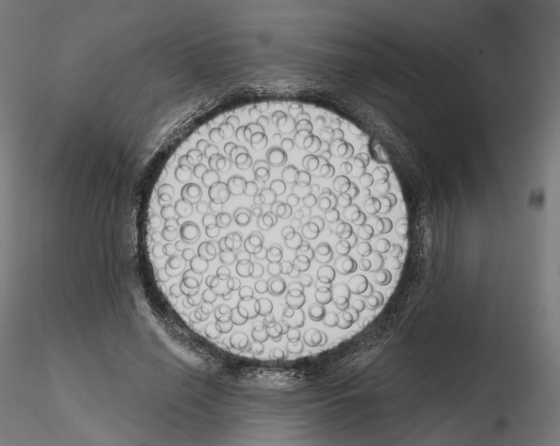X0000114690638200912021046